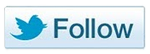 Twitter Follow Button